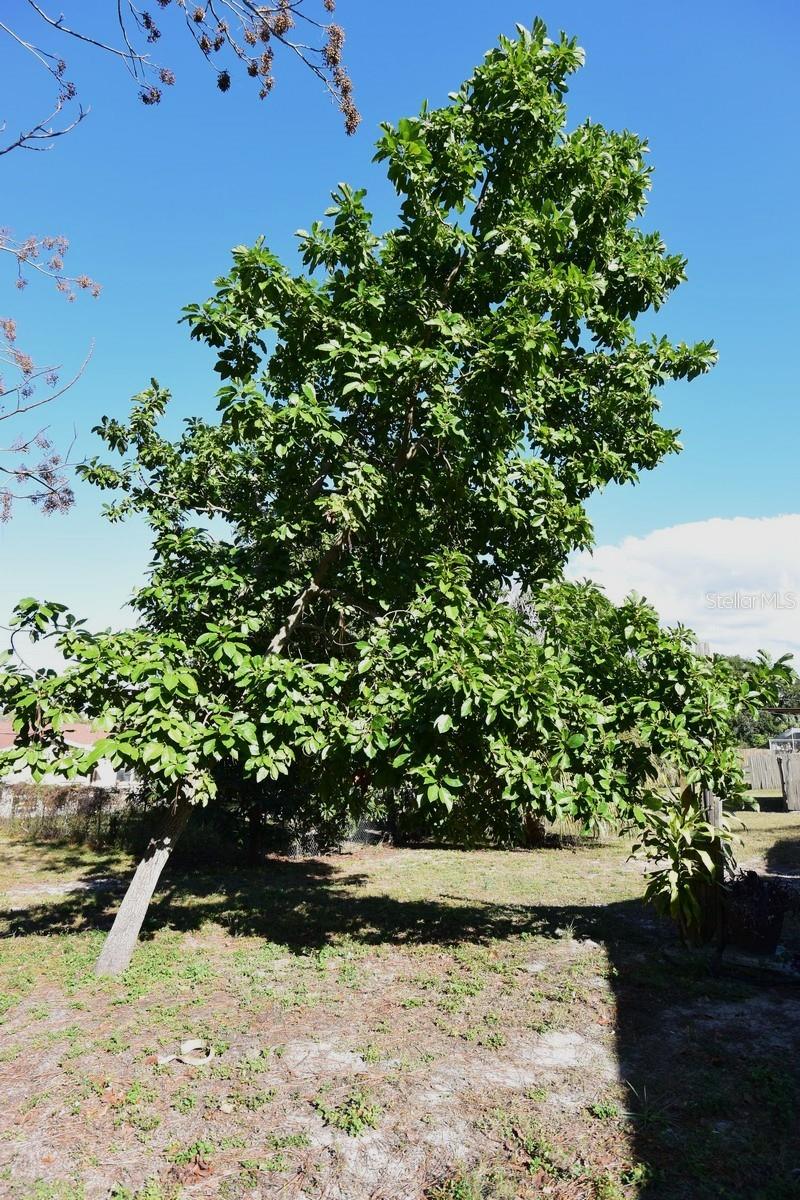 Image 36 of 38 For 5845 Elm Street