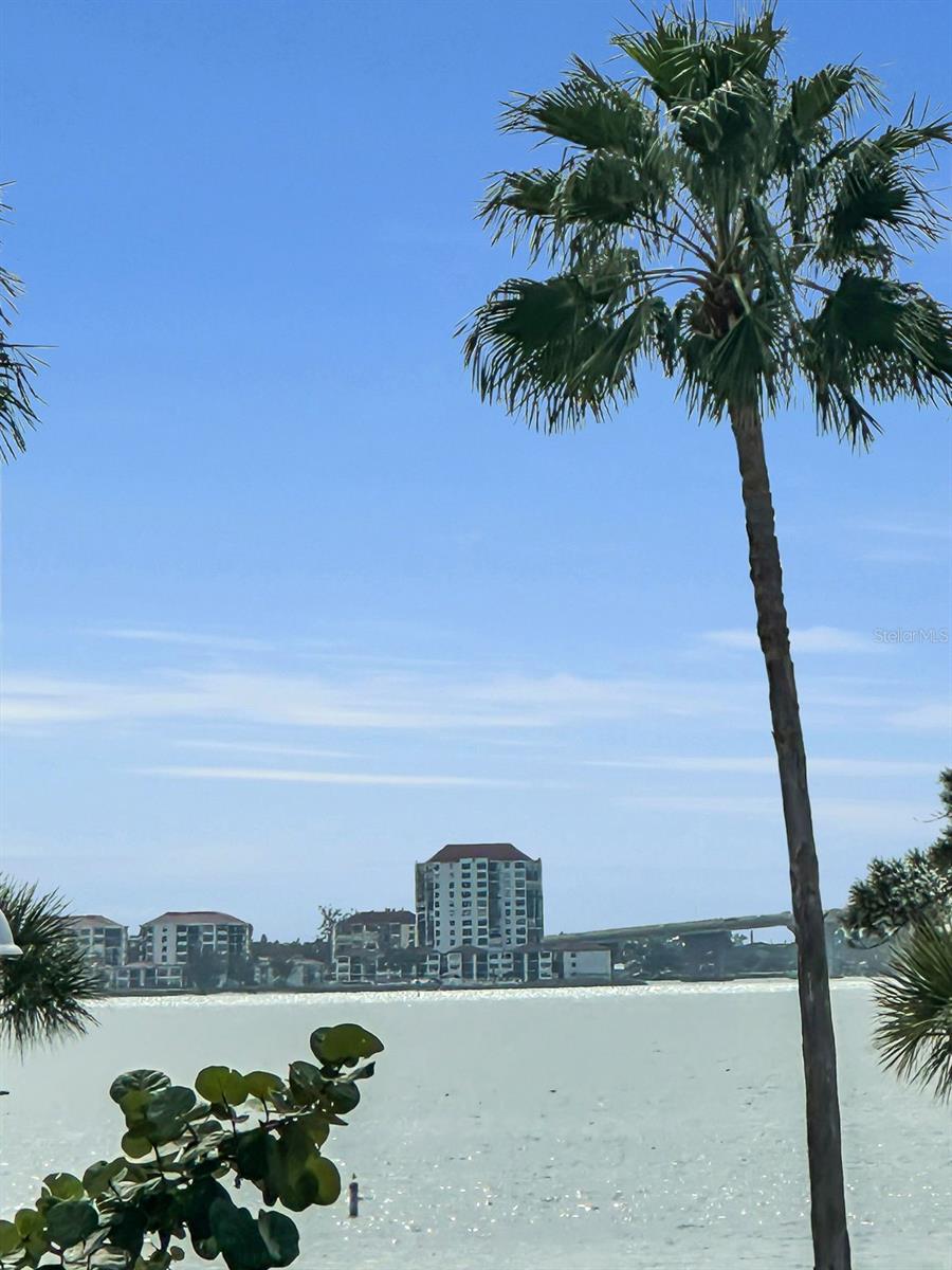 Listing photo id 44 for 3120 Clinton Street S