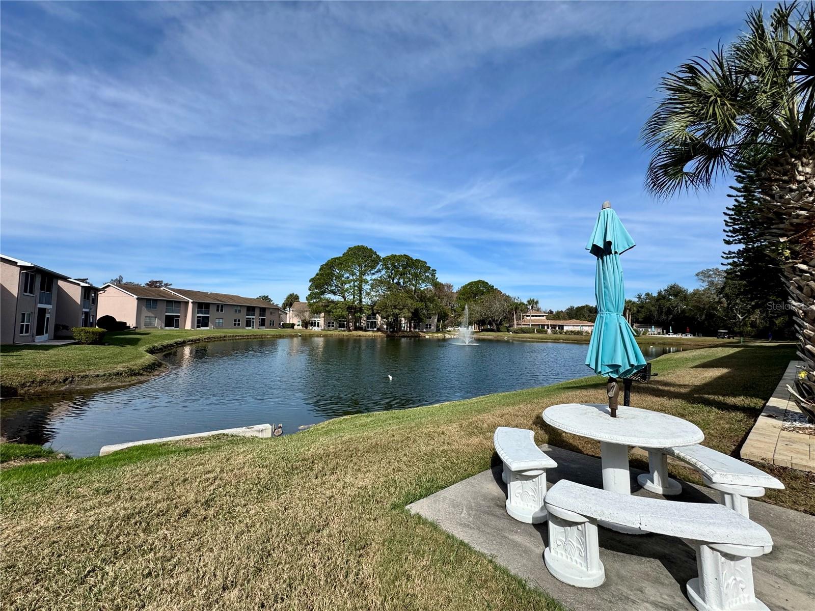 Image 18 of 21 For 6527 Spring Flower Drive 21