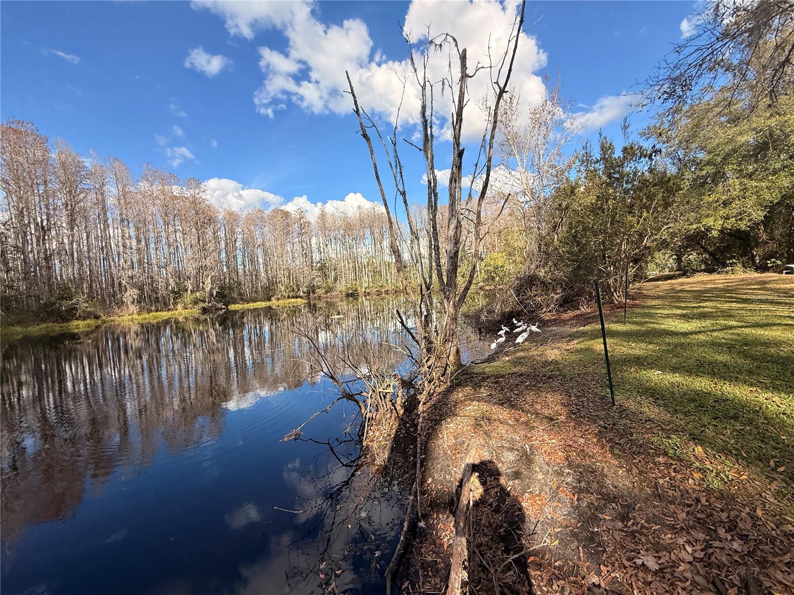 Details for 12155 Environmental Drive 6, NEW PORT RICHEY, FL 34654