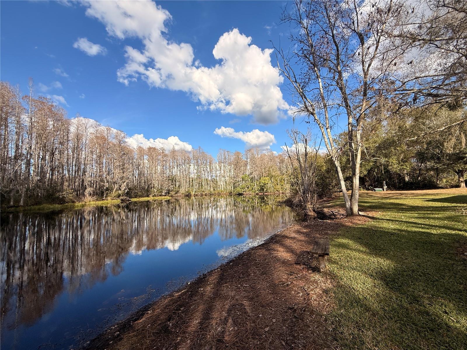 Image 25 of 46 For 12155 Environmental Drive 6