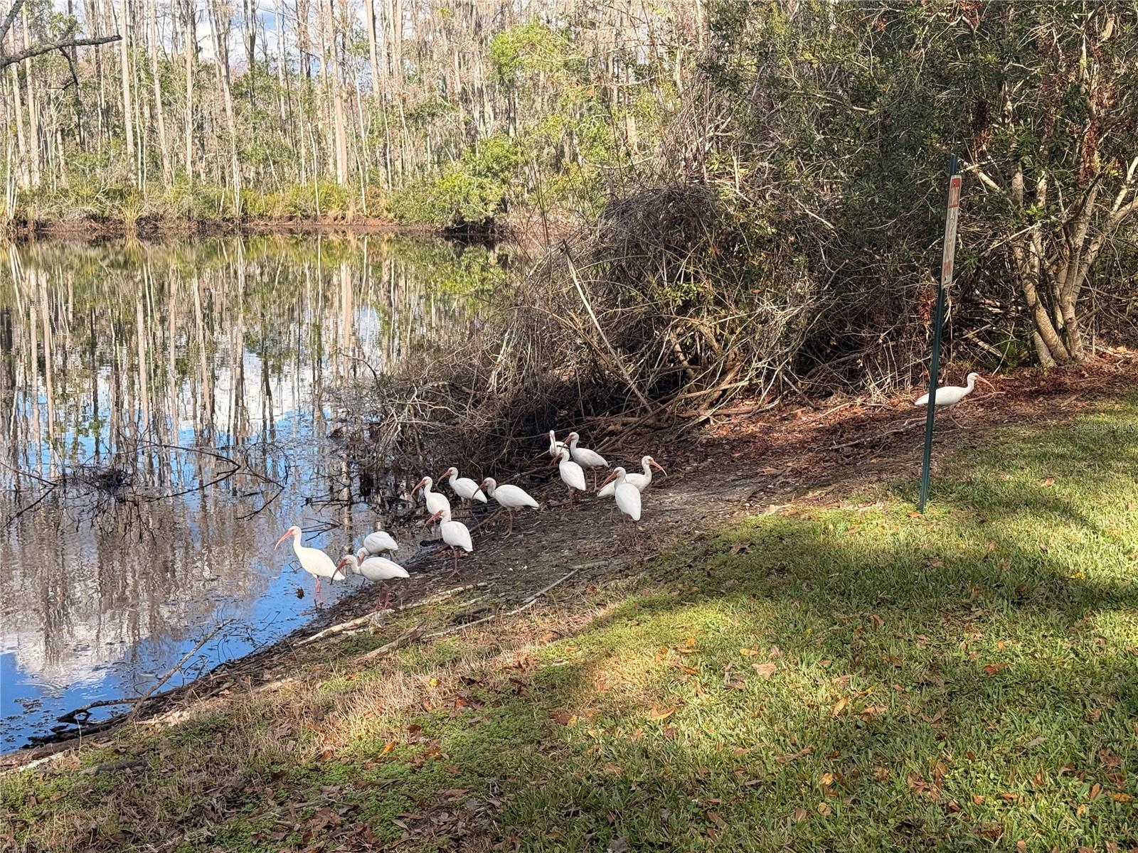 Image 33 of 46 For 12155 Environmental Drive 6