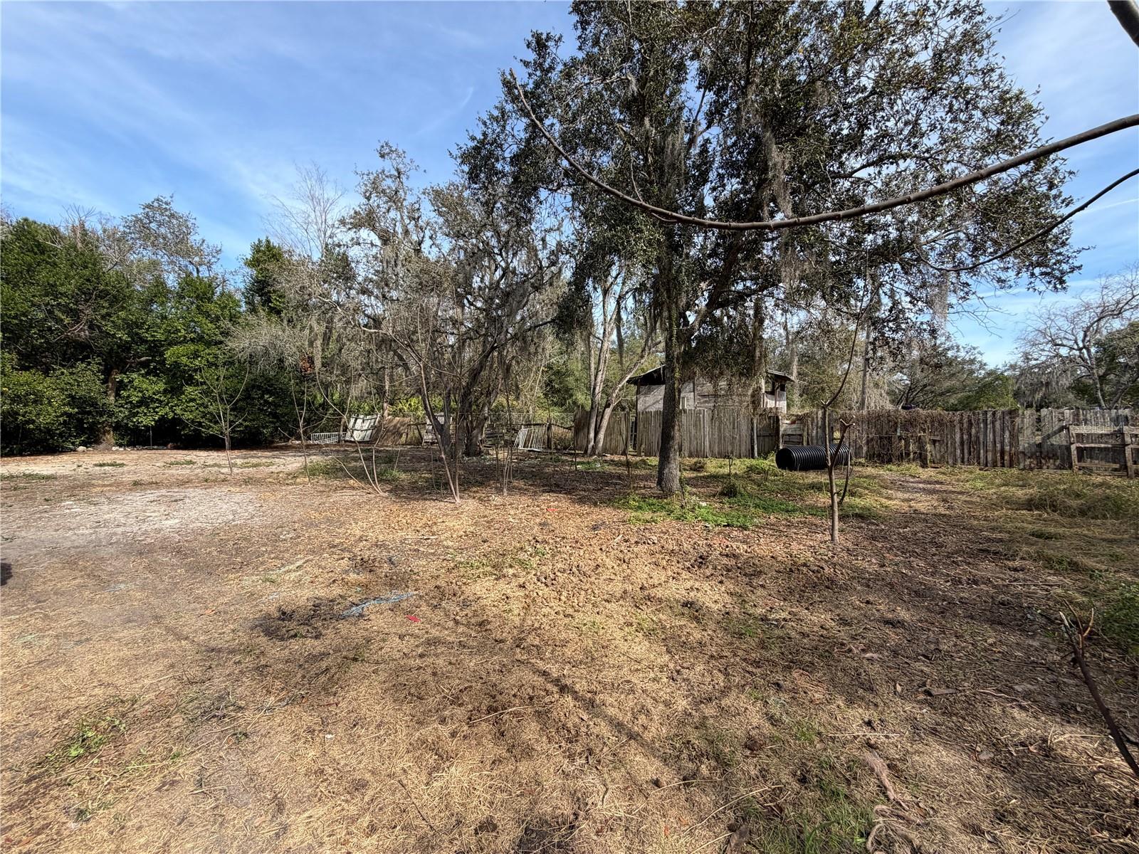 Image 10 of 19 For 10711 Jacamar Drive