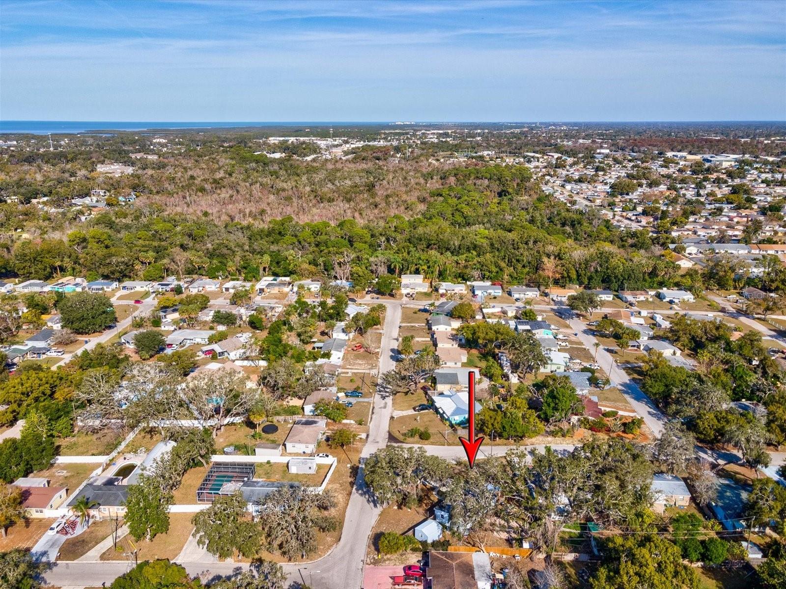 Image 42 of 65 For 7114 Carlow Street