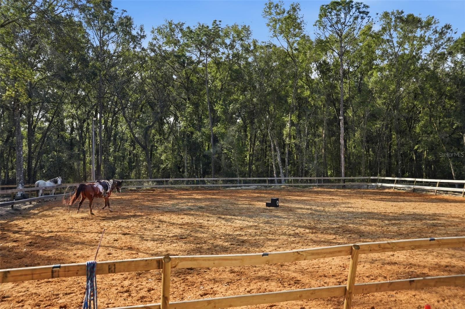 Image 75 of 85 For 16000 Sam C Road