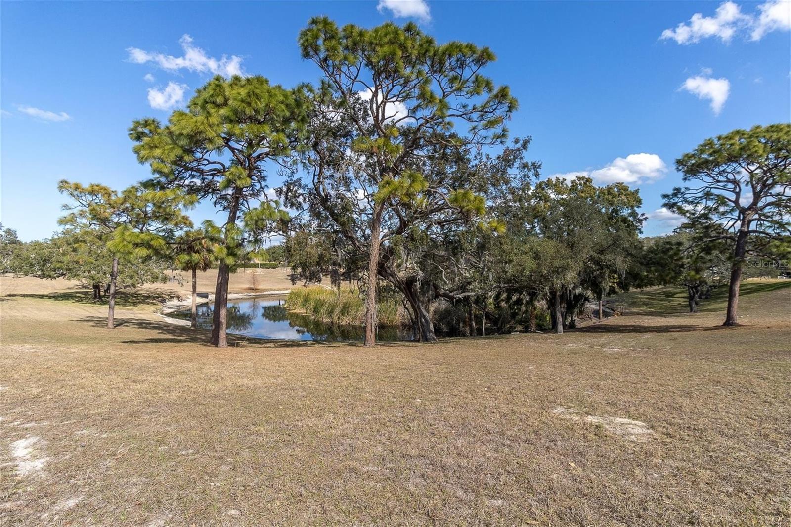 Image 26 of 55 For 8221 Sulky Court 1