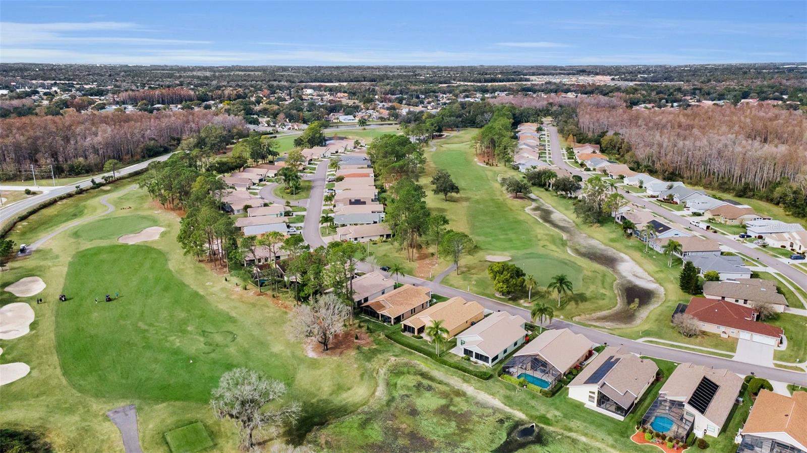 Image 41 of 83 For 9630 Green Needle Drive