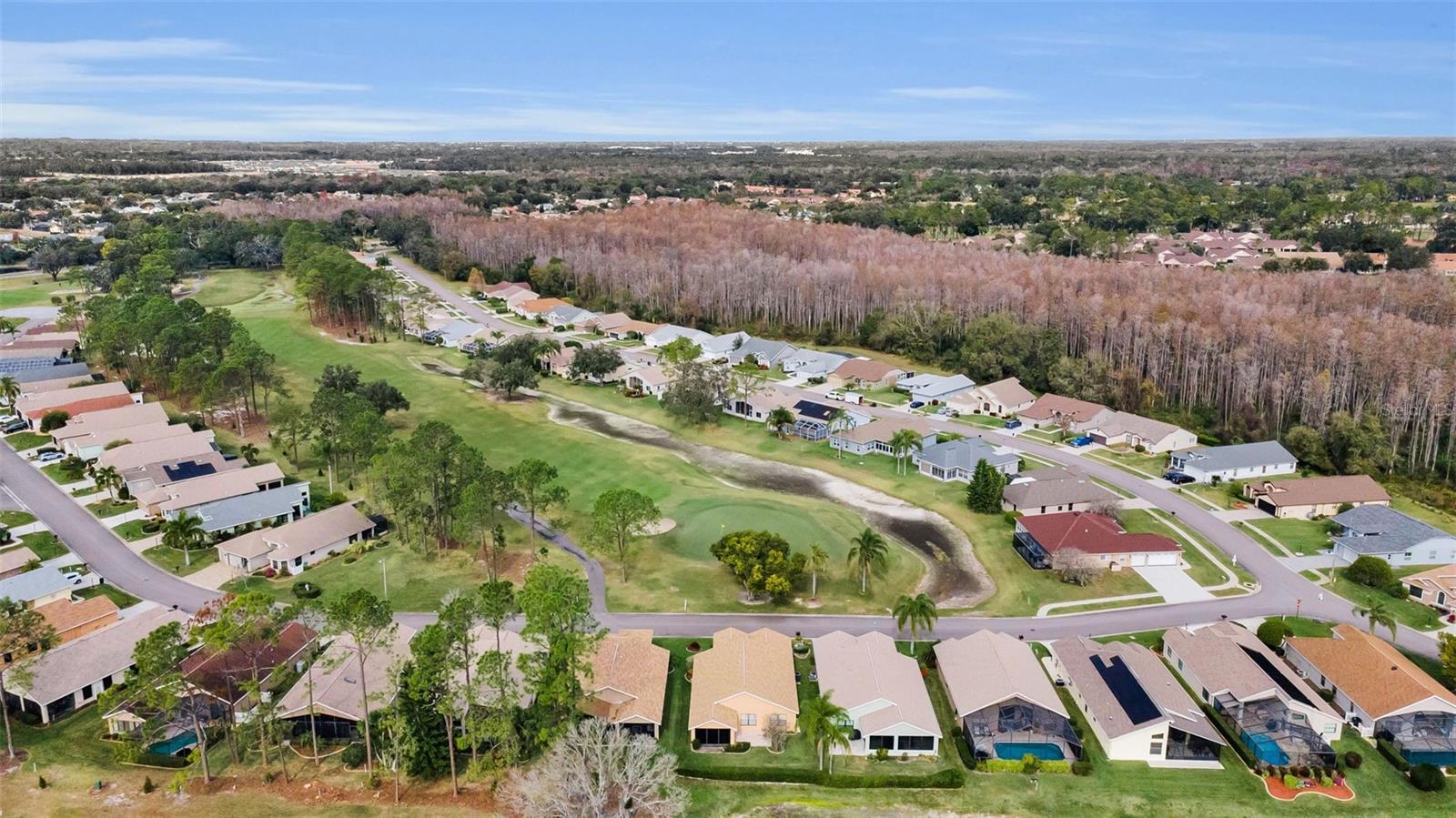 Image 43 of 83 For 9630 Green Needle Drive