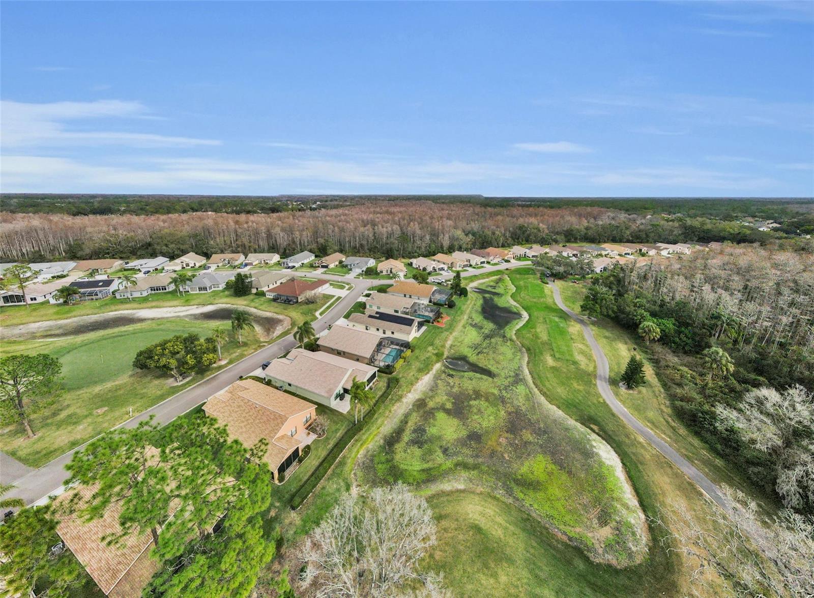 Image 45 of 83 For 9630 Green Needle Drive