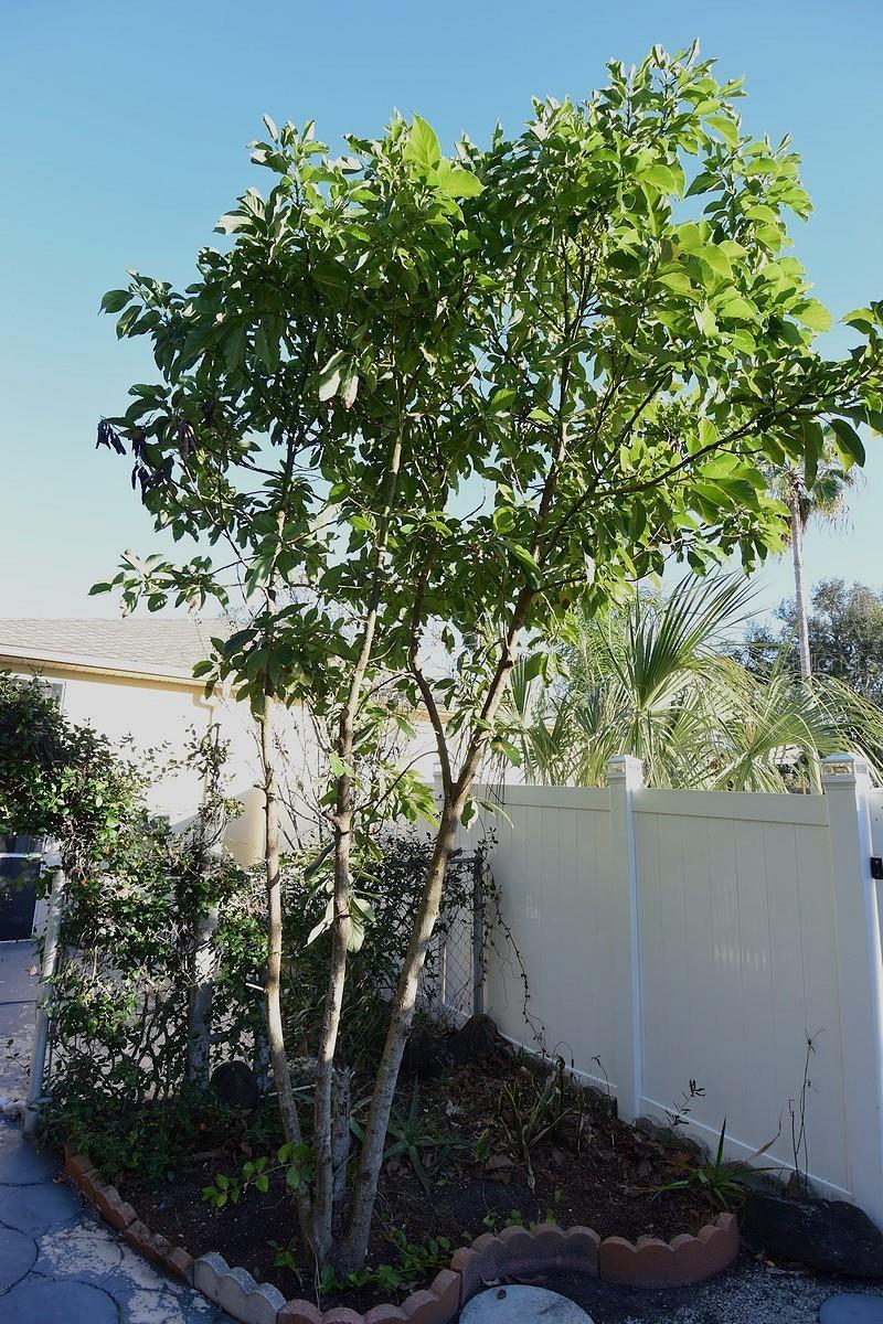 Image 59 of 63 For 7435 Mohawk Trail