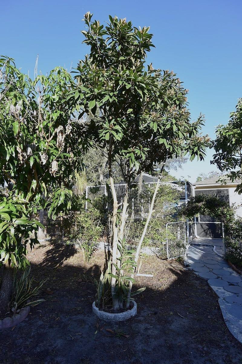 Image 60 of 63 For 7435 Mohawk Trail