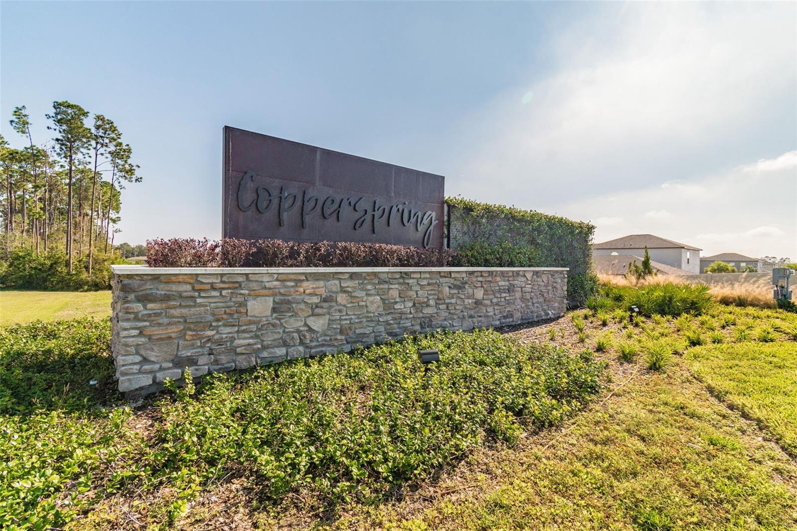 Image 2 of 72 For 6065 Spring Crayfish Avenue