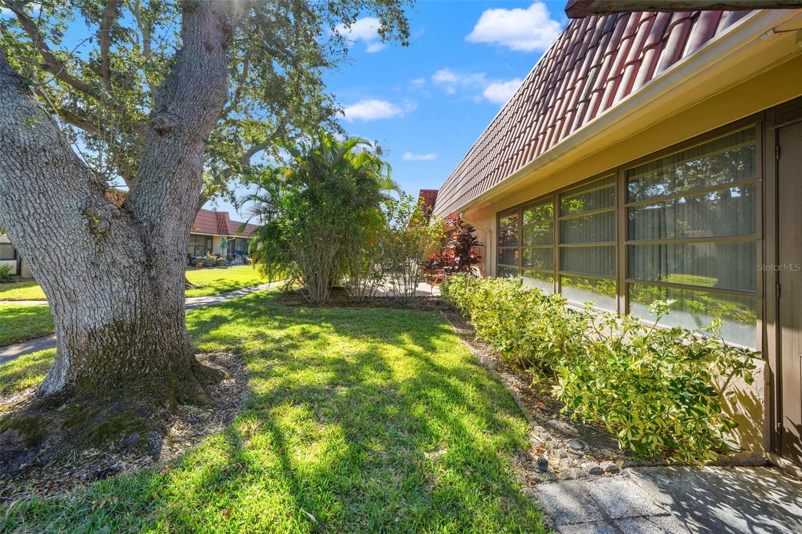 Image 32 of 65 For 19029 Us Highway 19 N 13a