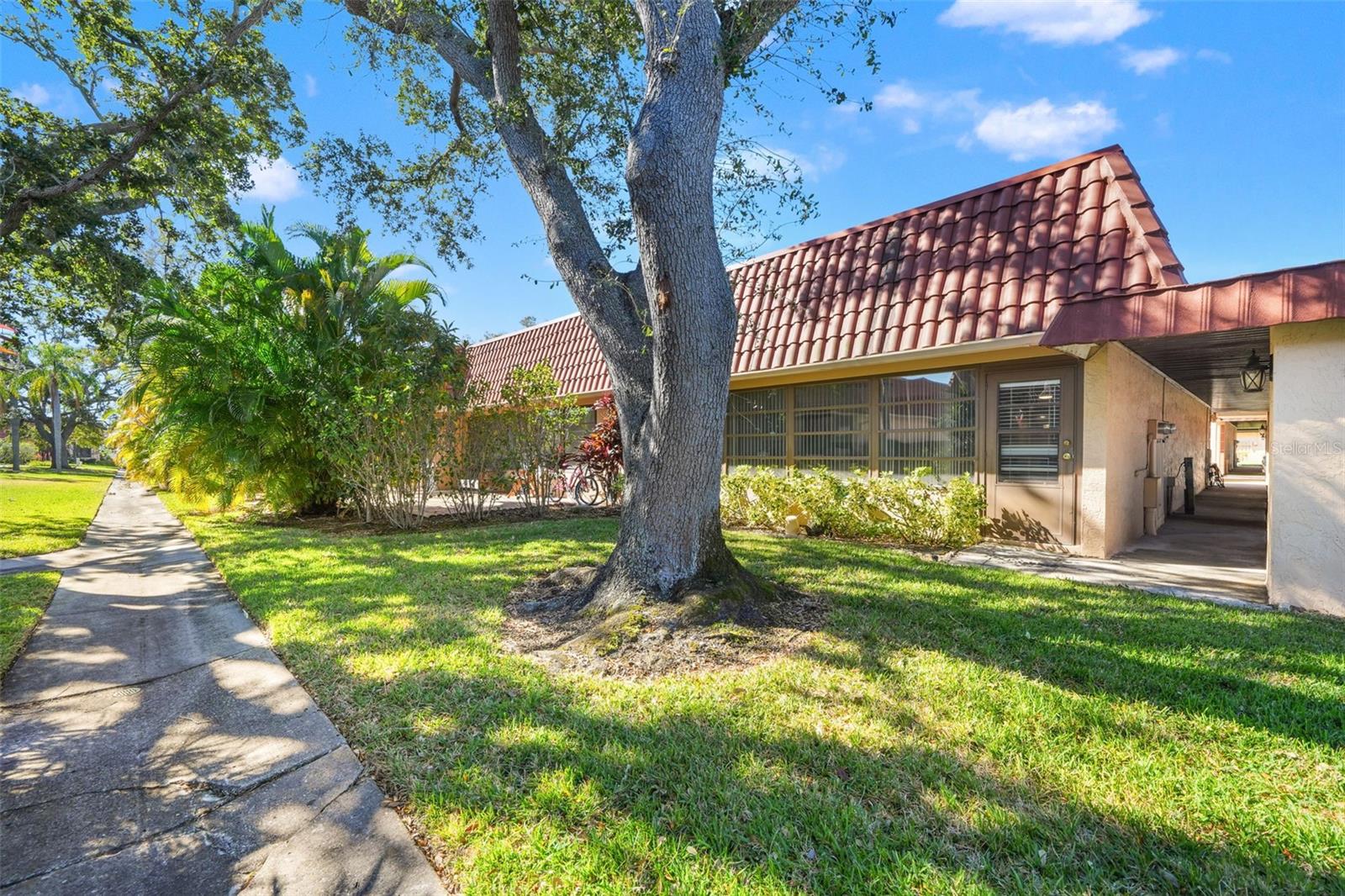 Image 33 of 65 For 19029 Us Highway 19 N 13a