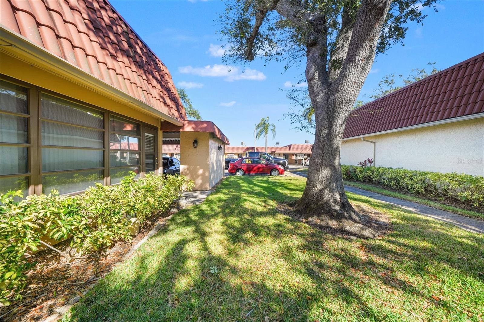 Image 35 of 65 For 19029 Us Highway 19 N 13a