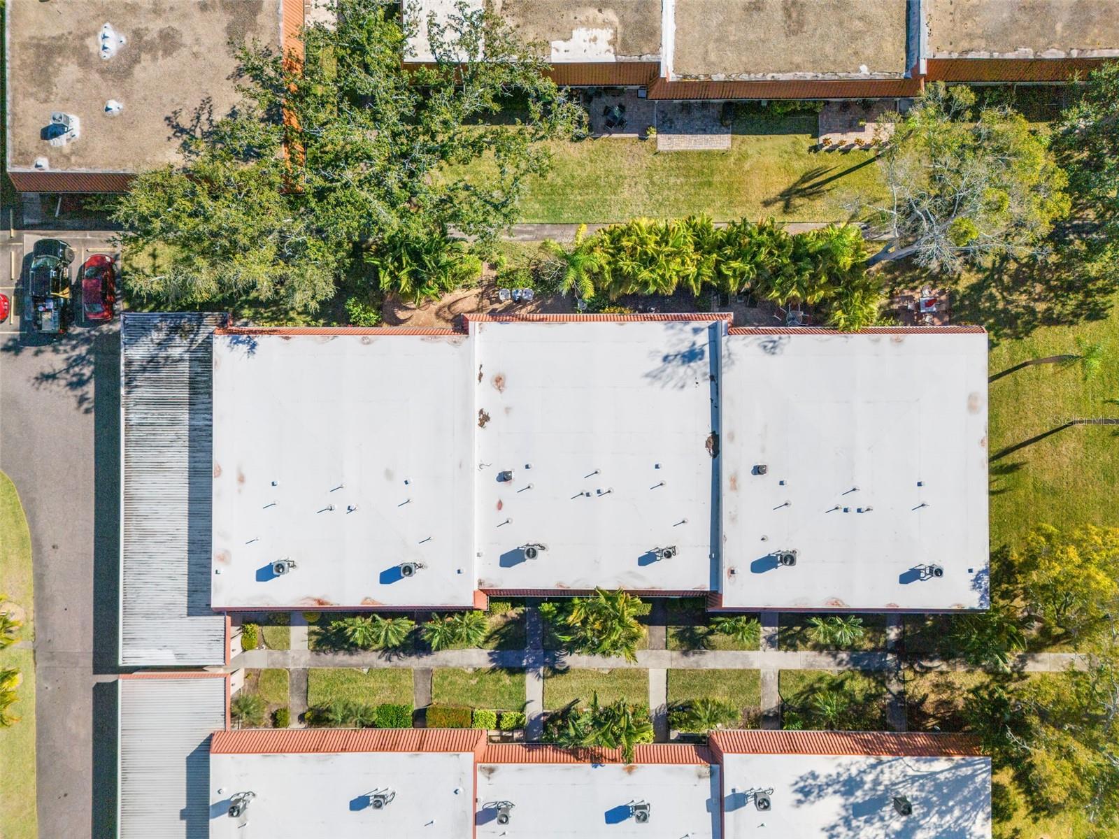 Image 59 of 65 For 19029 Us Highway 19 N 13a