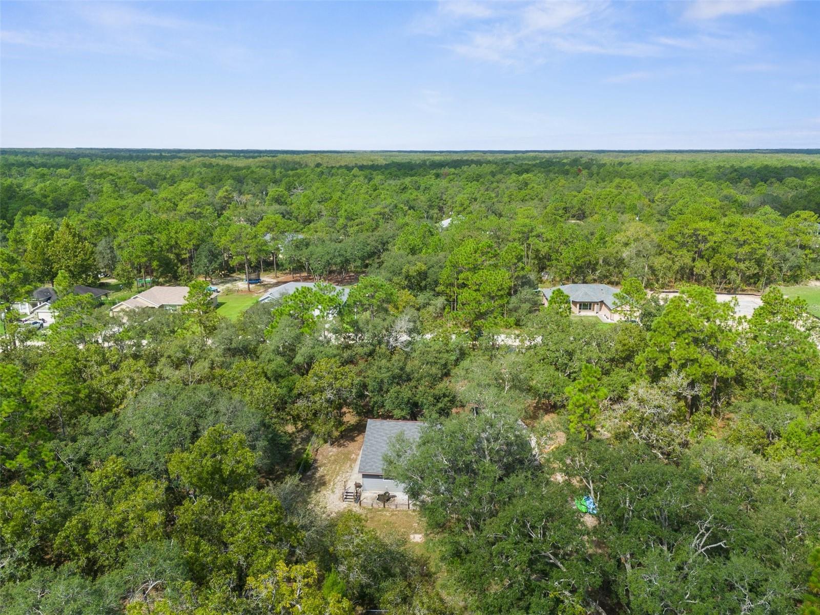 Image 18 of 22 For 15236 Mottled Owl Road