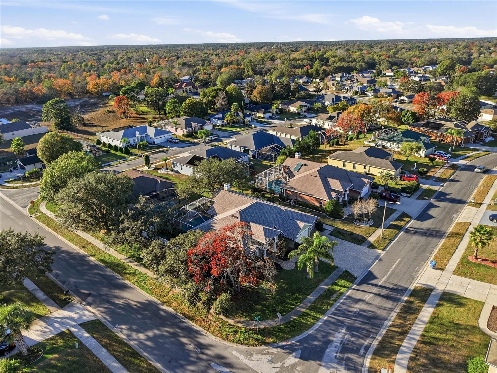 Image 48 of 55 For 10243 Locker Drive