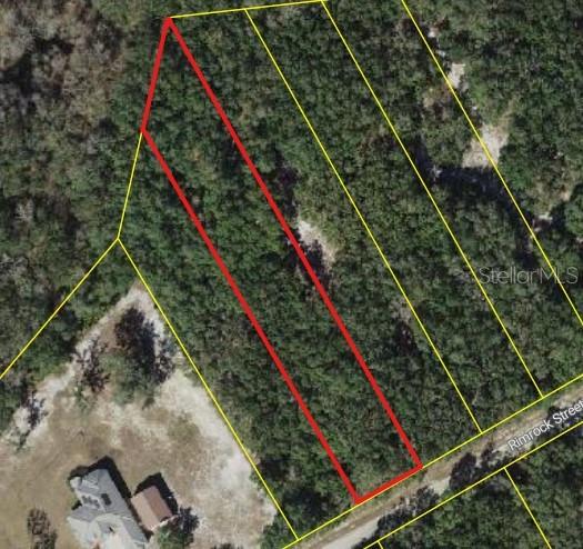 Details for 0 Rim Rock , WEBSTER, FL 33597