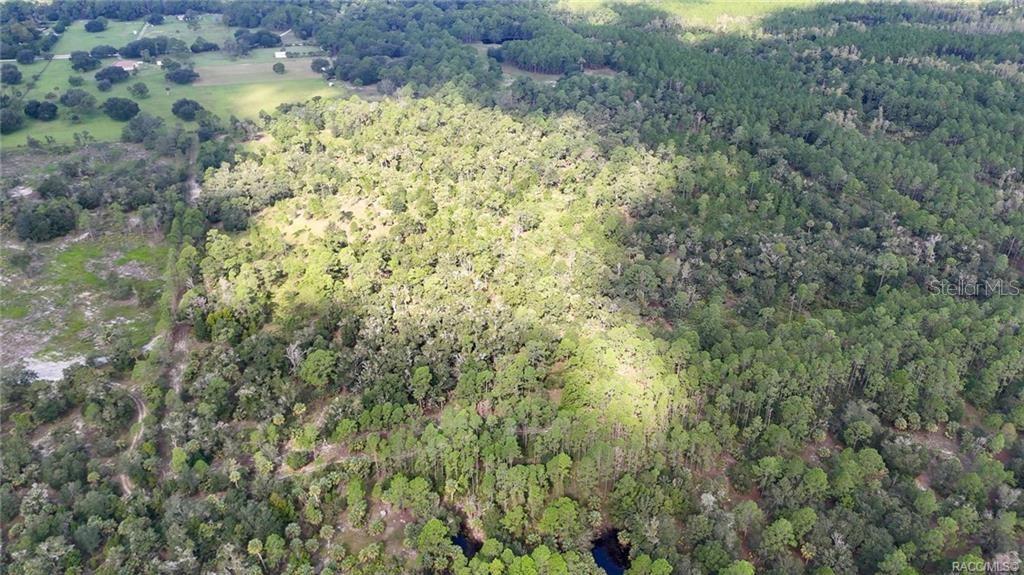 Image 6 of 9 For 20271 81st Terrace