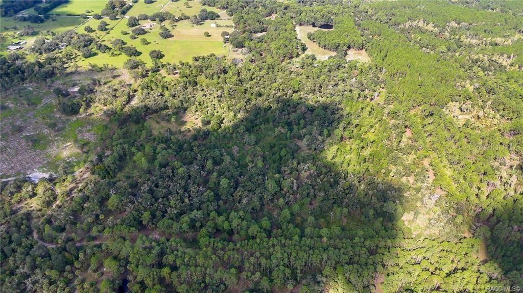 Image 7 of 9 For 20271 81st Terrace