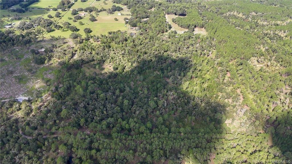 Image 8 of 9 For 20271 81st Terrace