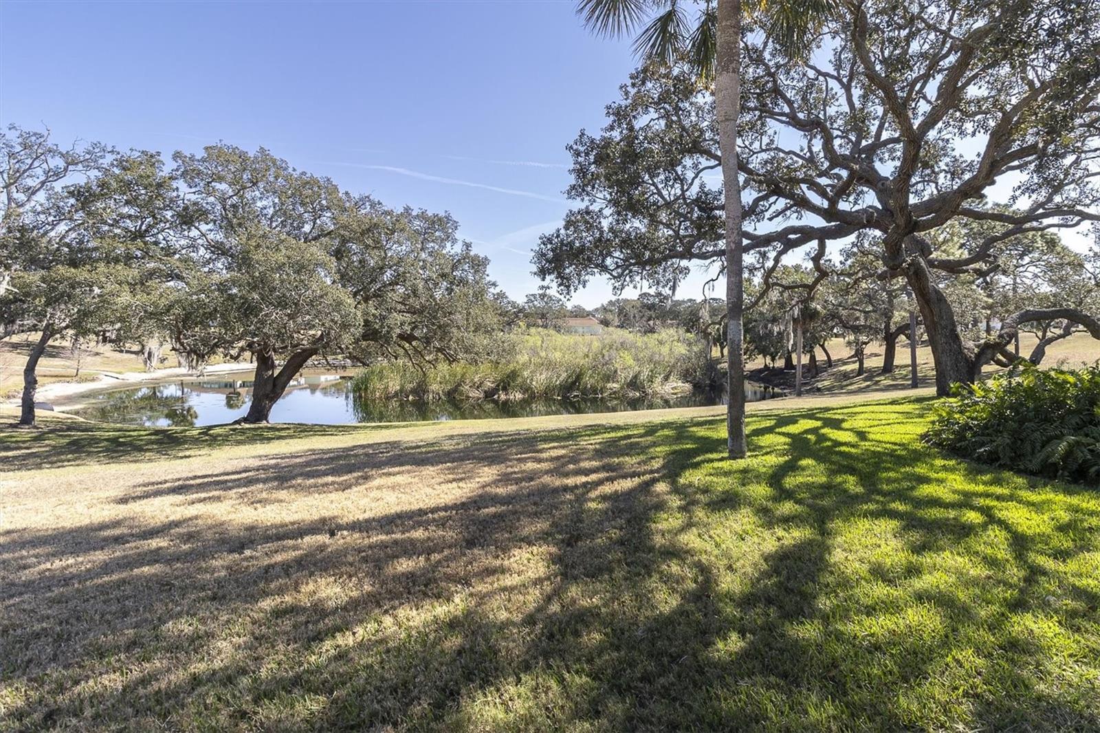 Image 24 of 63 For 11410 Carriage Hill #1 Drive 1