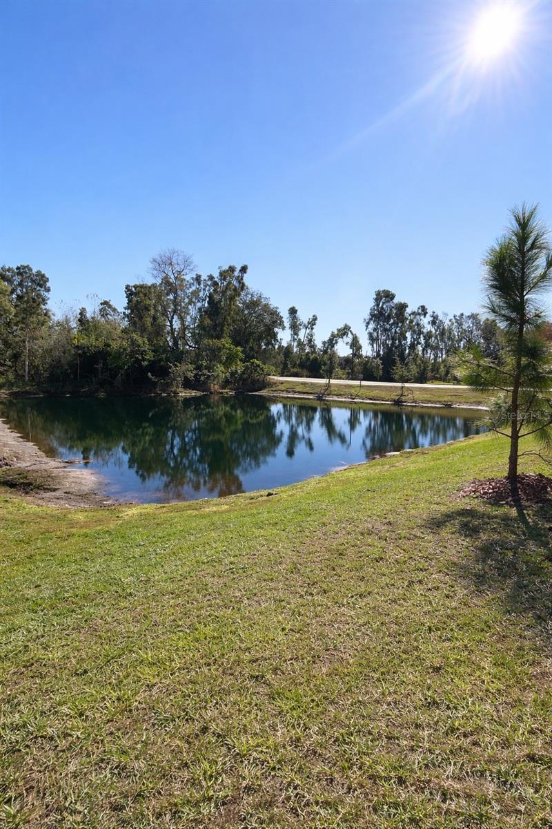 Image 30 of 30 For 6090 Shiner Street