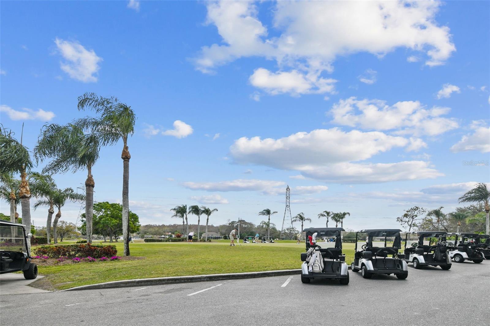 Image 50 of 65 For 208 Palmetto Ct 208