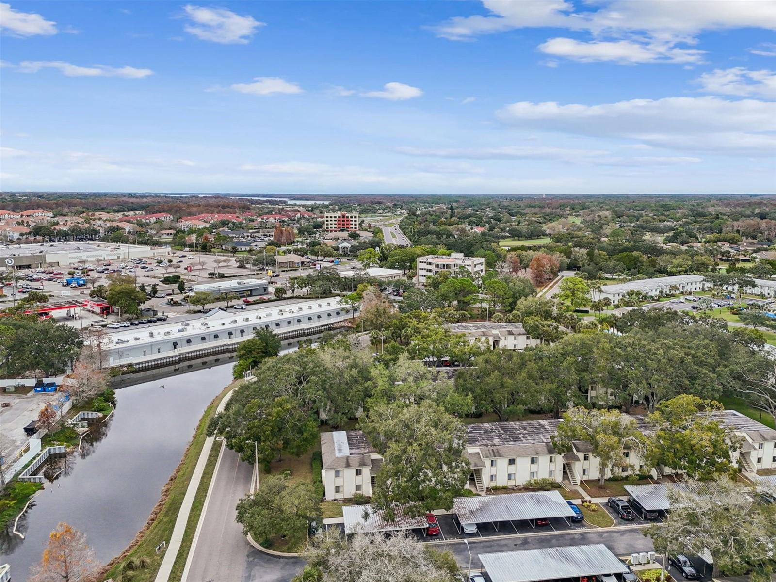 Image 59 of 65 For 208 Palmetto Ct 208