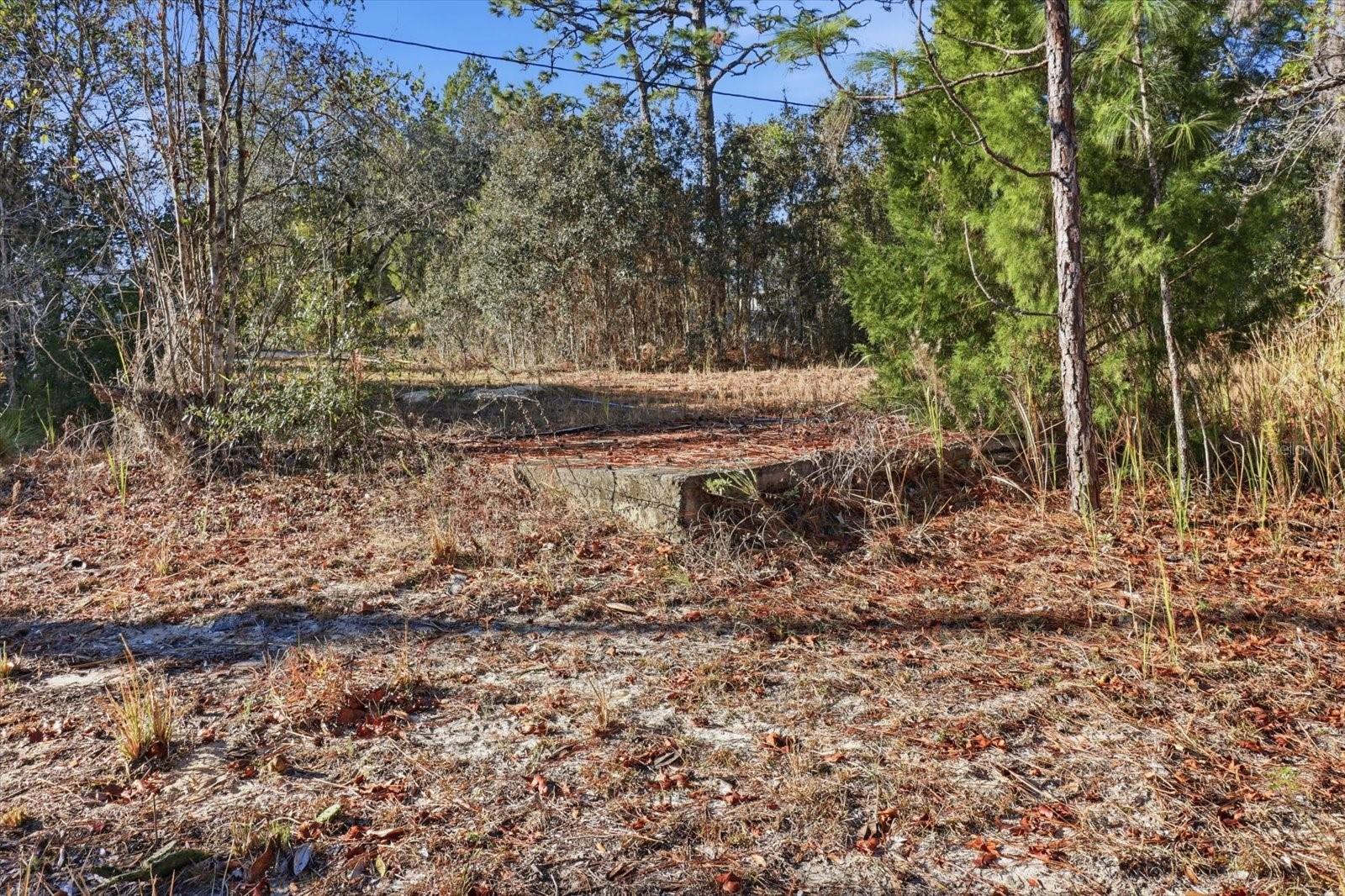 Image 4 of 13 For 3700 Glen Street