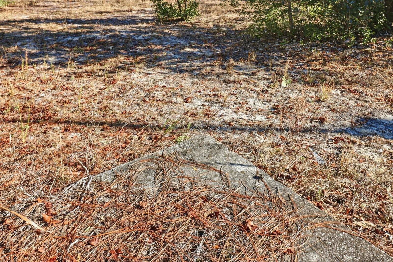 Image 5 of 13 For 3700 Glen Street