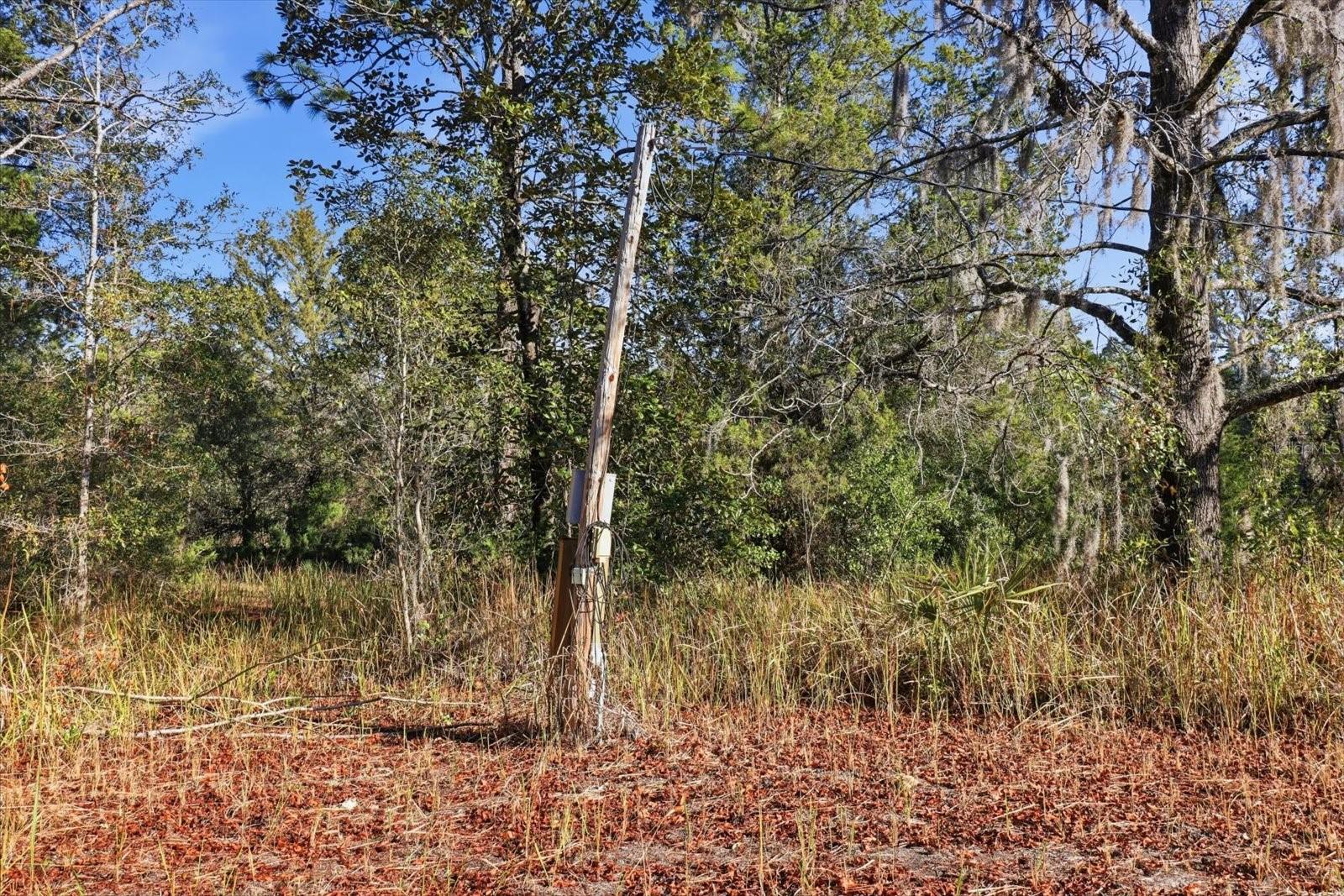 Image 6 of 13 For 3700 Glen Street