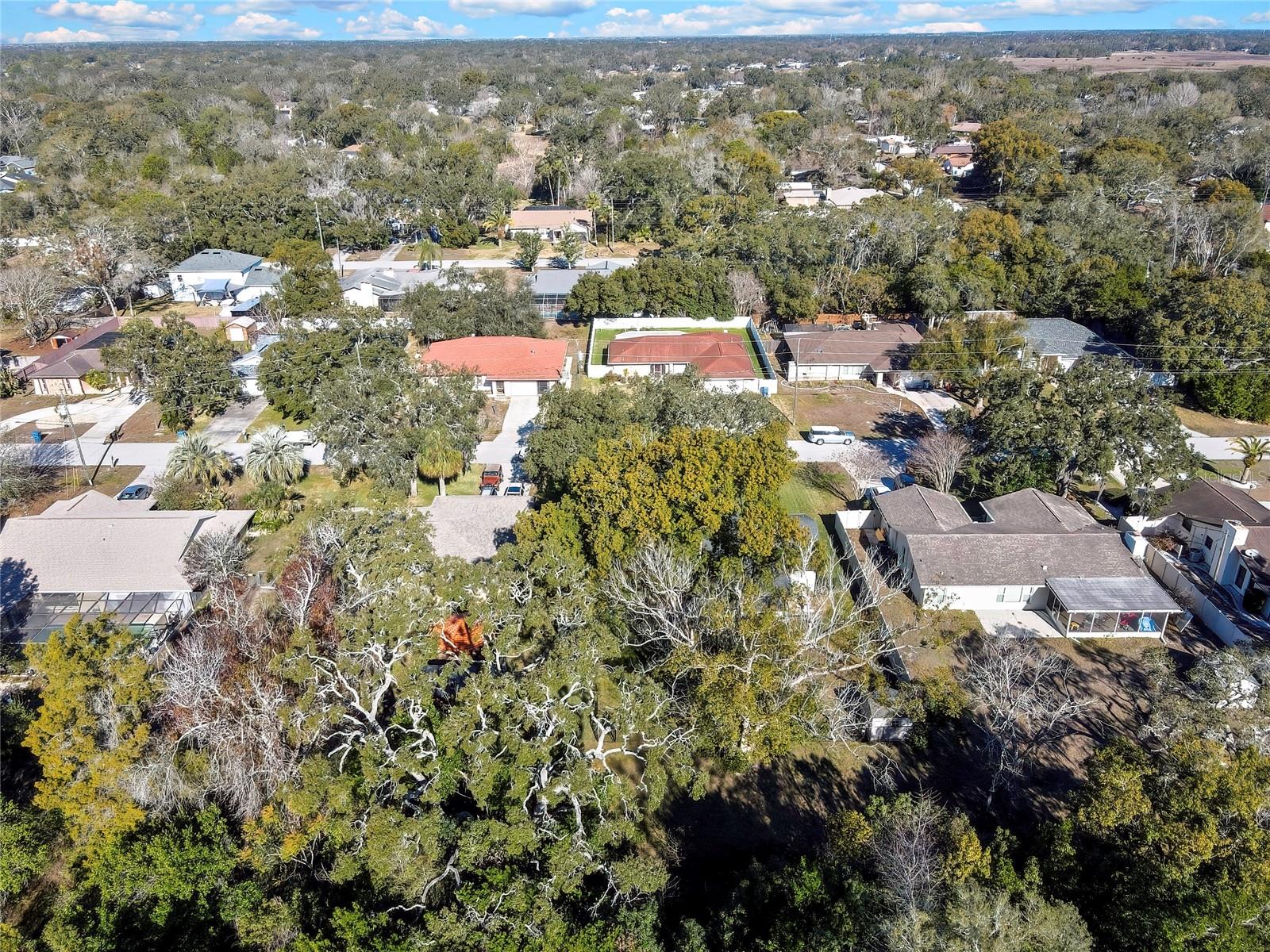 Image 42 of 53 For 2274 Danforth Road