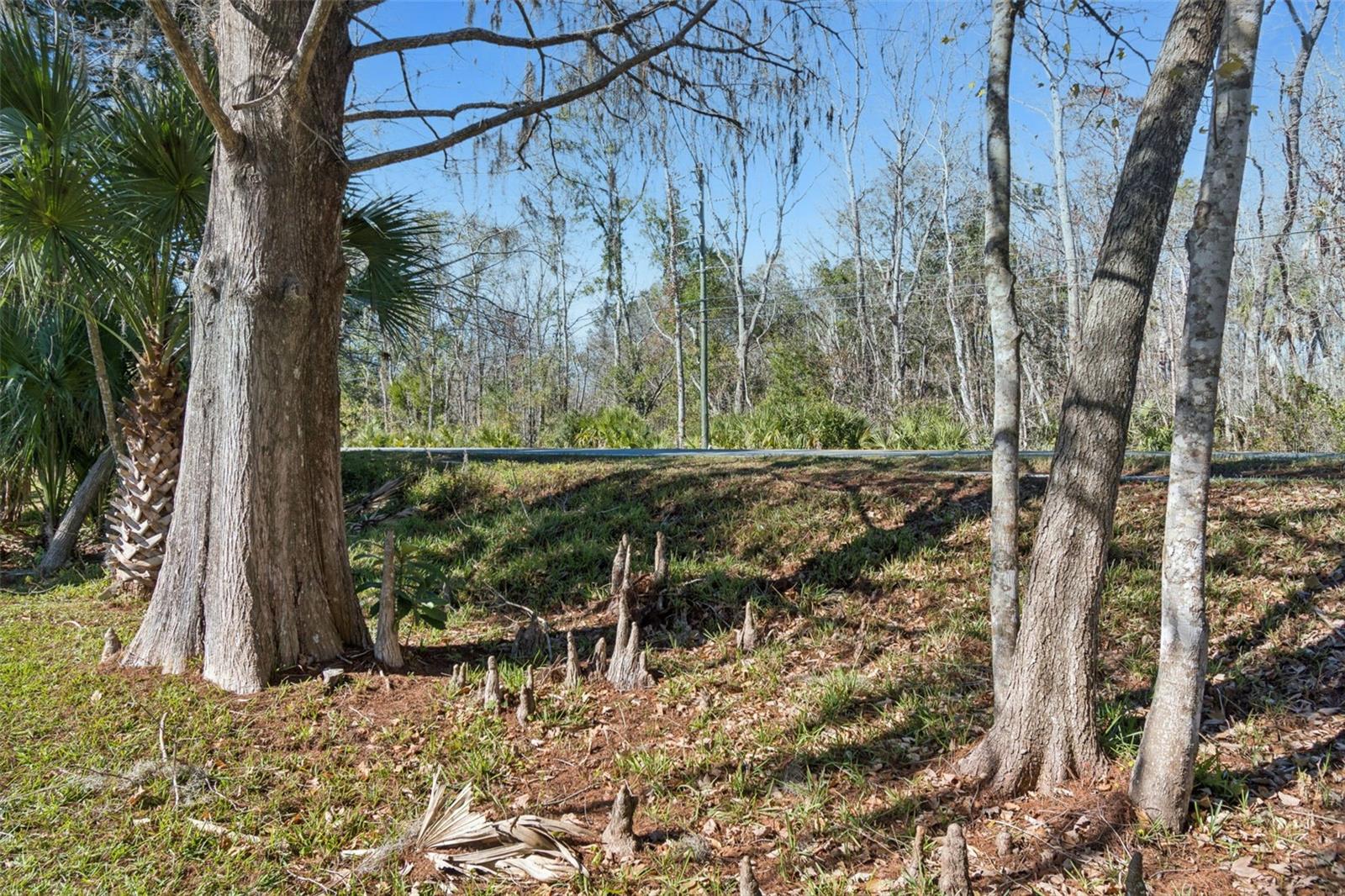 Image 36 of 61 For 7287 Aberdeen Court