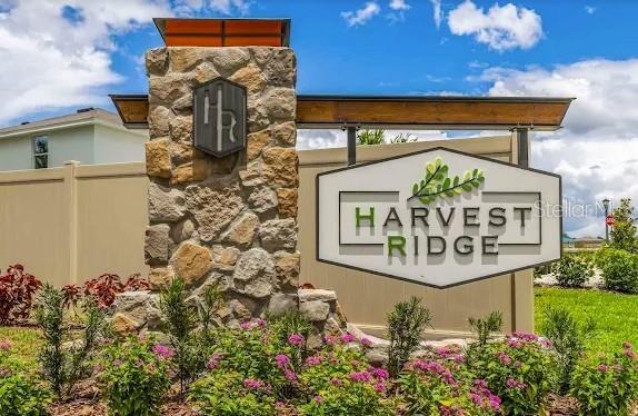 Image 2 of 54 For 37445 Sharks Eye Lane