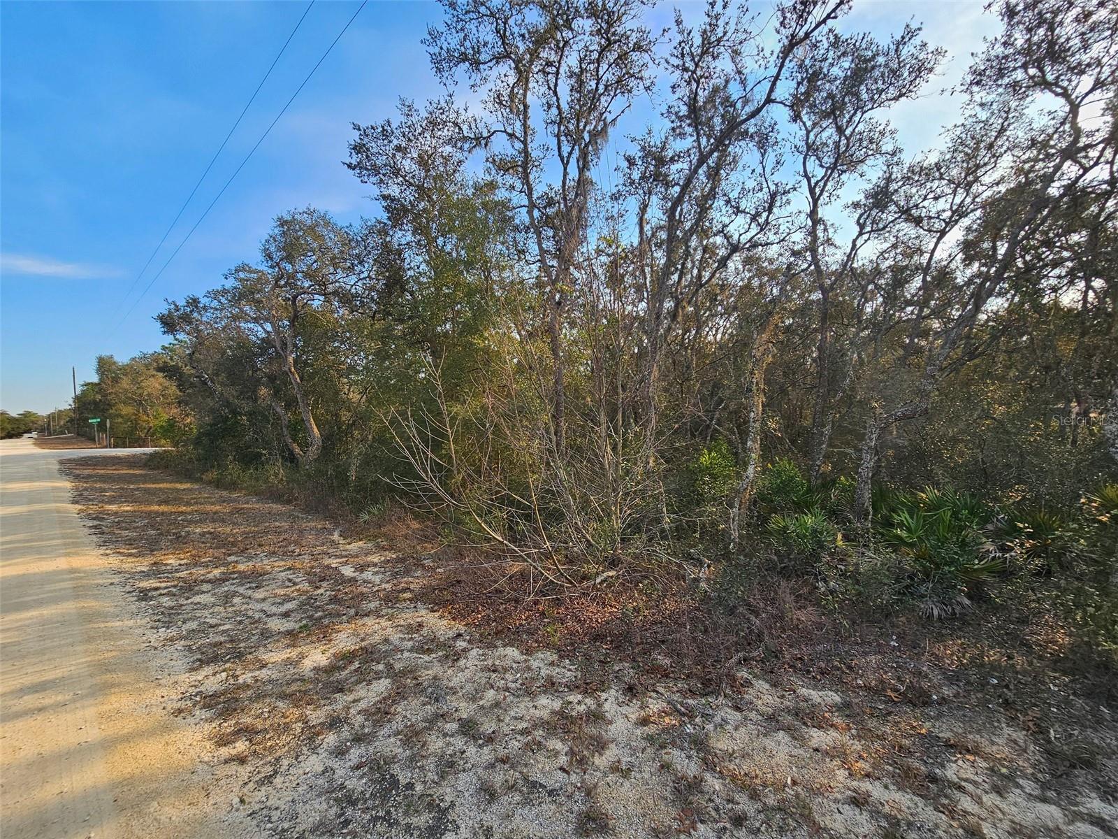 Details for 34310 Manuel Street, WEBSTER, FL 33597