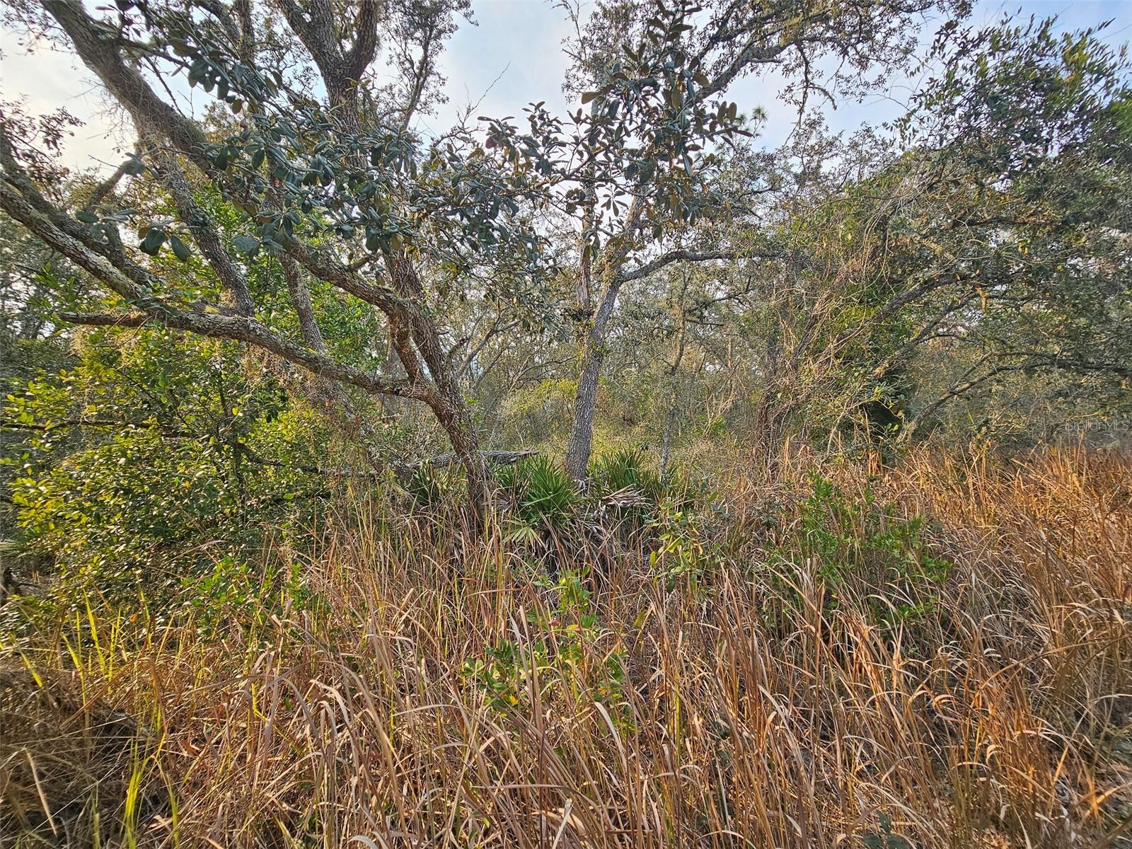 Image 10 of 16 For 34310 Manuel Street