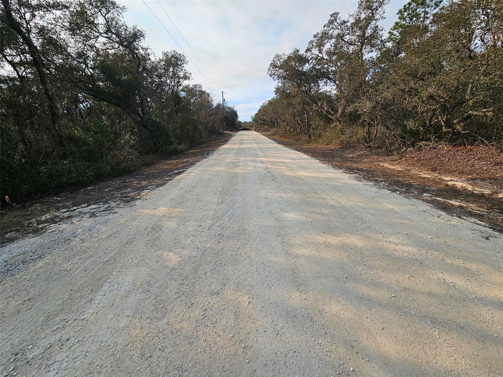 Image 12 of 16 For 34310 Manuel Street