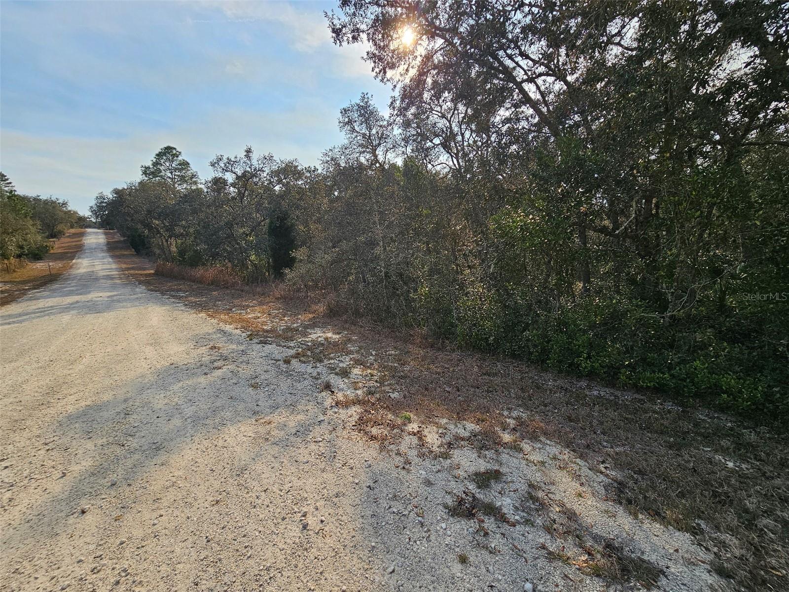 Image 13 of 16 For 34310 Manuel Street