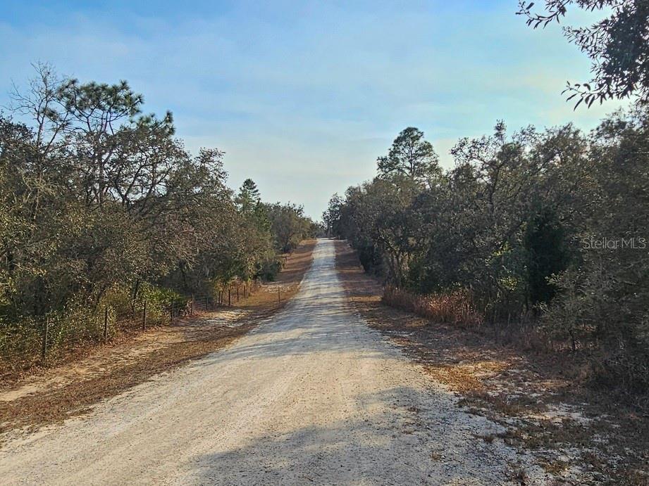 Image 14 of 16 For 34310 Manuel Street