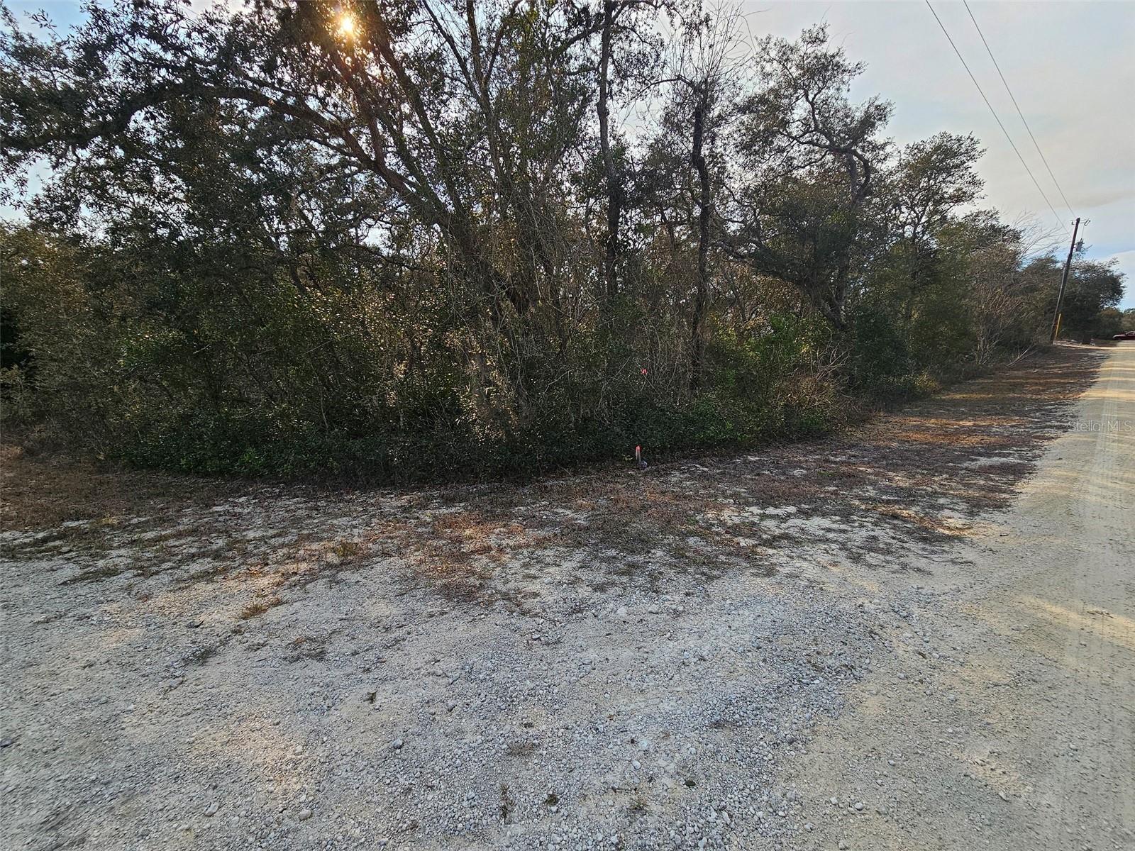 Image 2 of 16 For 34310 Manuel Street