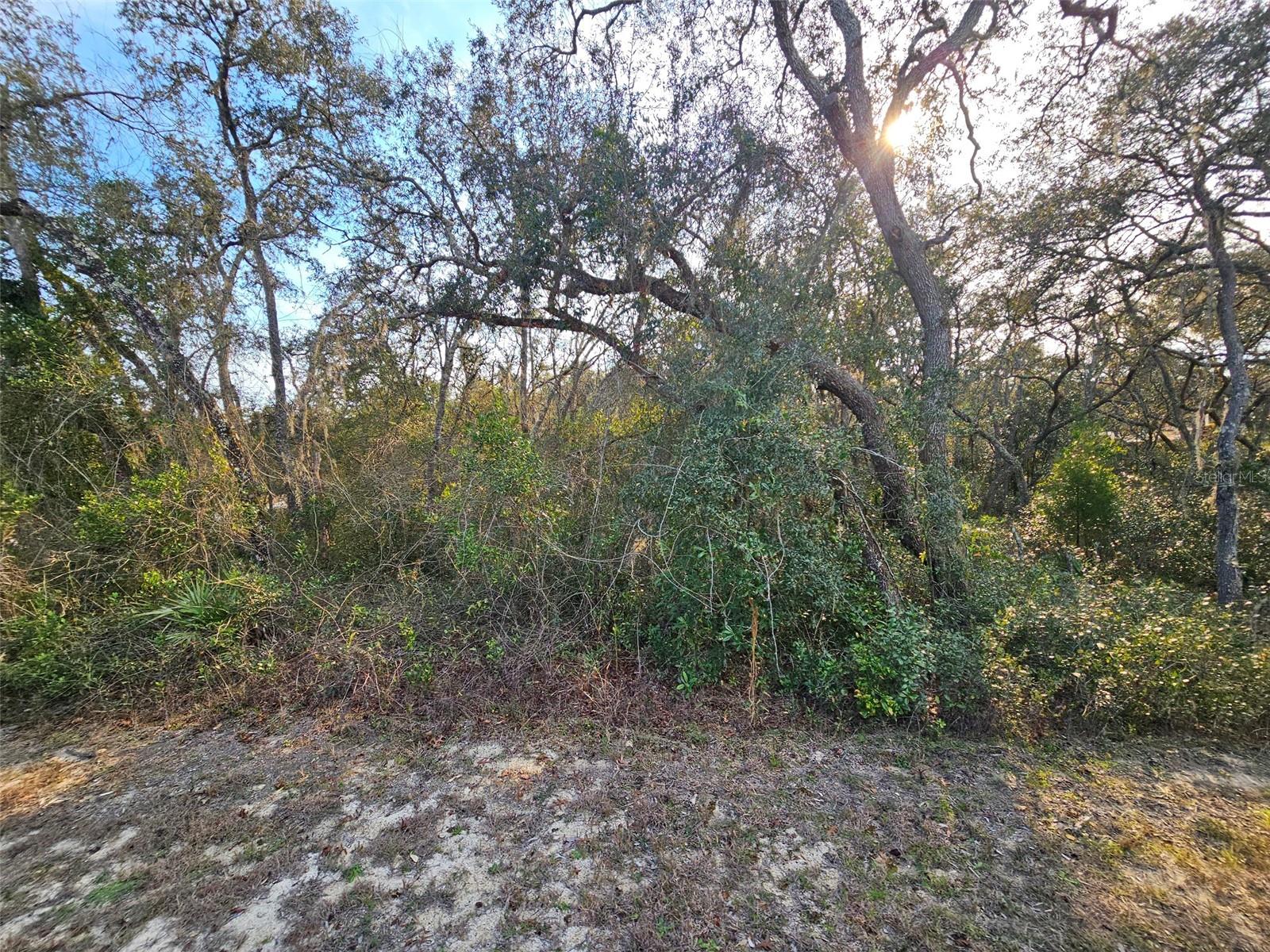 Image 4 of 16 For 34310 Manuel Street