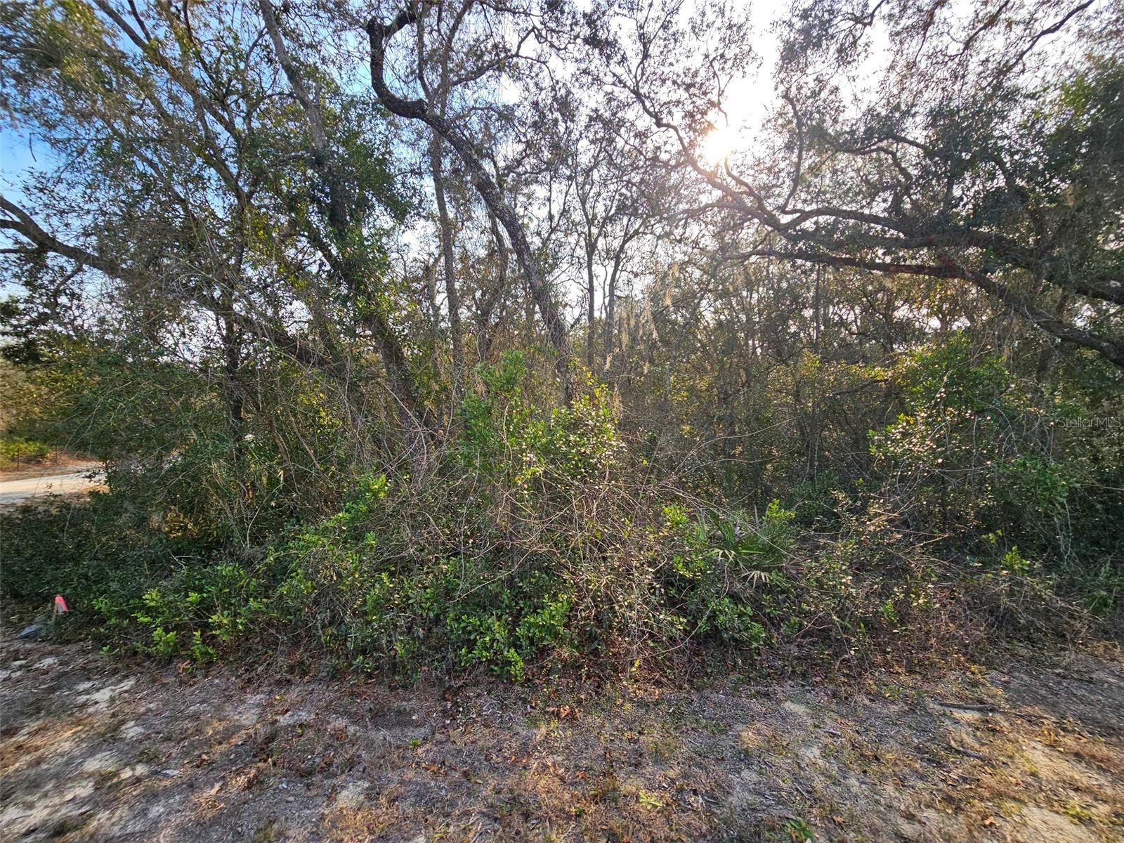 Image 5 of 16 For 34310 Manuel Street