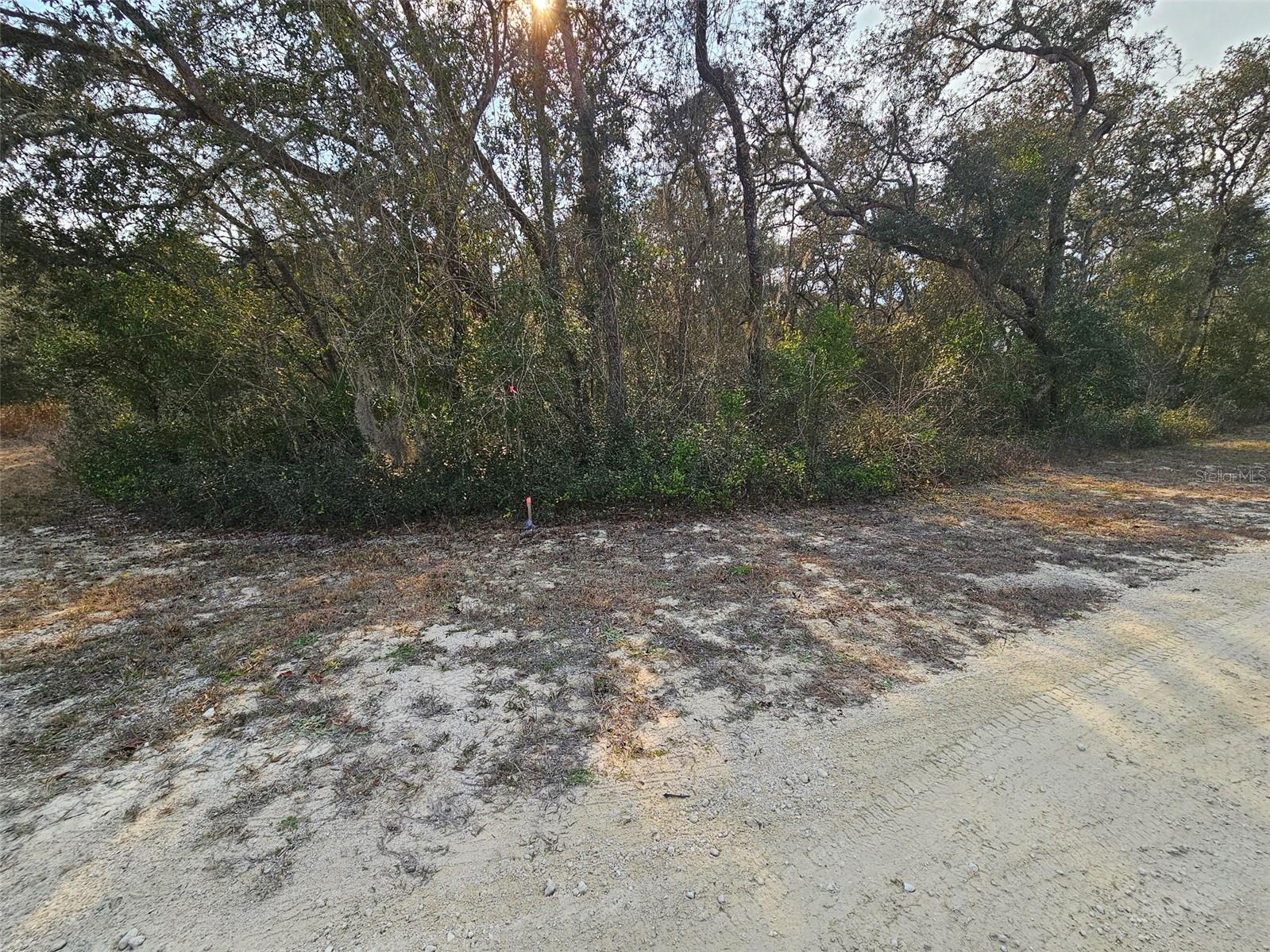 Image 6 of 16 For 34310 Manuel Street