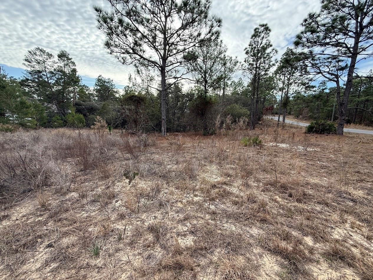 Listing photo id 0 for 4143 Dorchester Circle