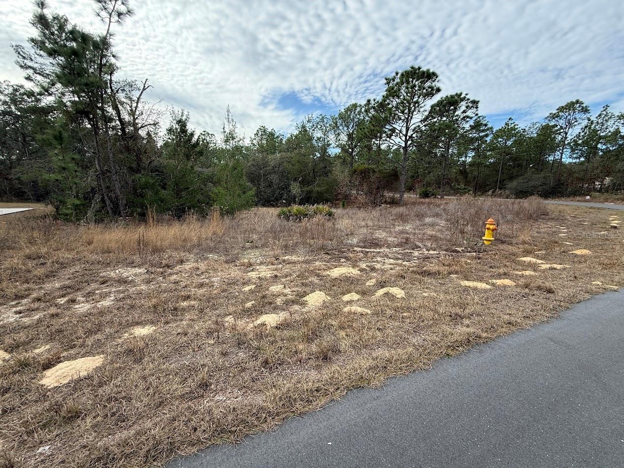 Listing photo id 1 for 4143 Dorchester Circle