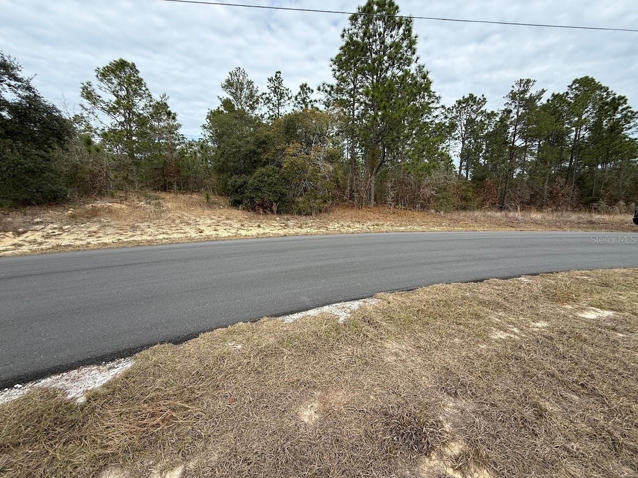 Listing photo id 2 for 4143 Dorchester Circle