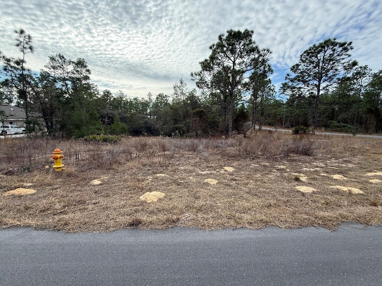 Listing photo id 4 for 4143 Dorchester Circle