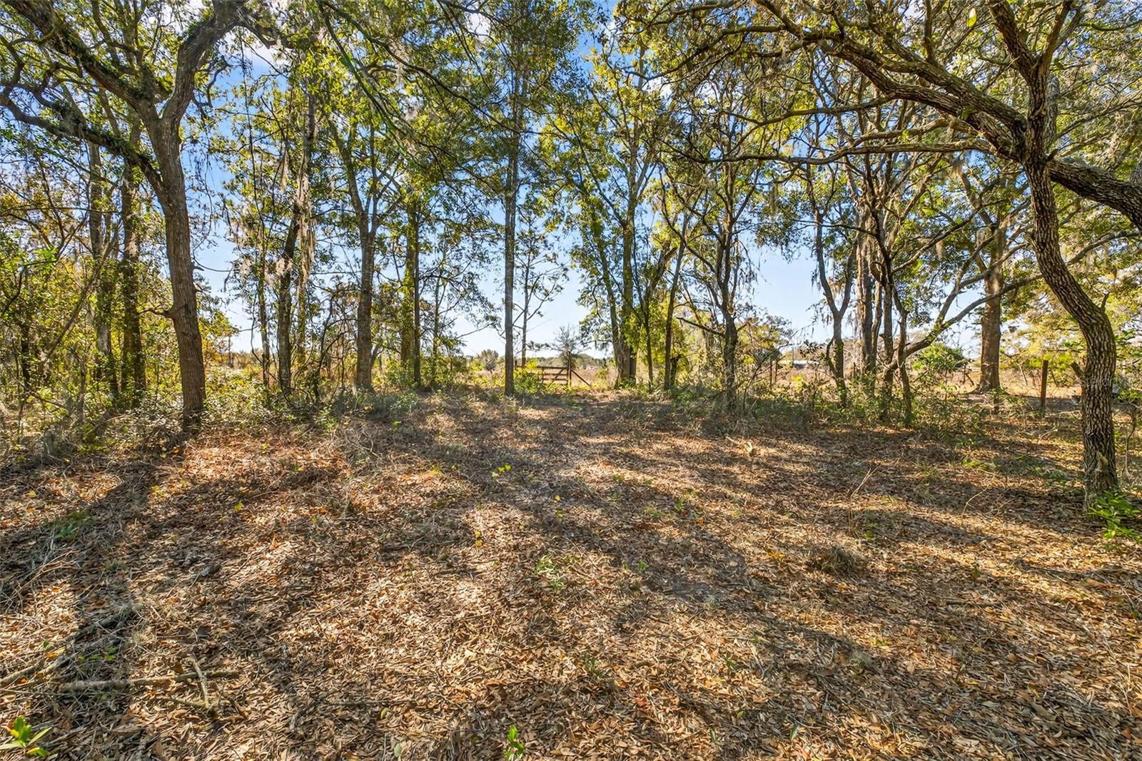 Image 13 of 15 For 16624 Helen K Drive